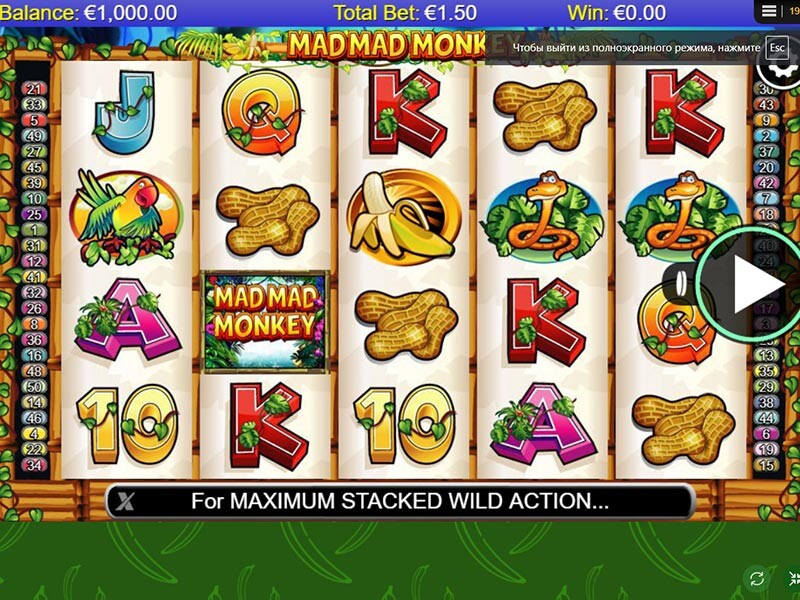 Mad Mad Monkey Slot Mobile
